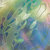 ephemera thumbnail