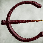 esperthebard thumbnail