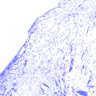 tomato_soup_2 thumbnail