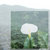 tape1052 thumbnail