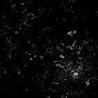 Sentient Sediment thumbnail