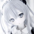 トリニダード thumbnail