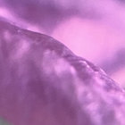 seelinnen thumbnail