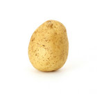 rubendamota thumbnail