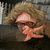 slywizbang thumbnail