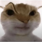 nuage_et_ciel thumbnail