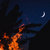 Cordial Despair thumbnail
