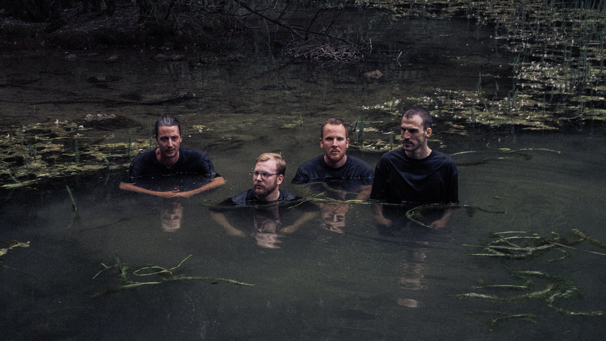Merch | Bees Made Honey in the Vein Tree