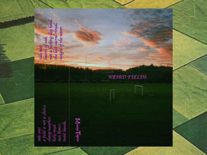 Weird Fields | Weird Fields | Mossy Tapes