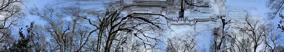 Family Stereo — Photo