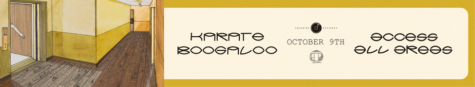 Karate Boogaloo — Photo