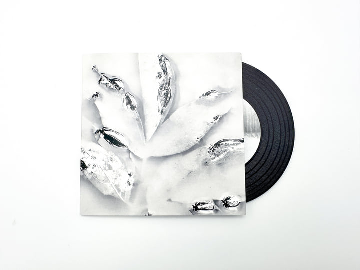 silent steps for a better way | hershel | whitelabrecs