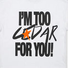 2Cedar thumbnail