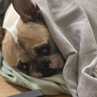 Mitch thumbnail
