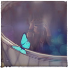 veilrose_ thumbnail