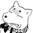 bonkmaykr thumbnail
