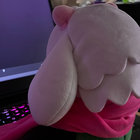 maddieS117 thumbnail