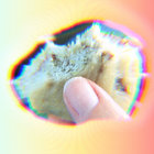 cass thumbnail