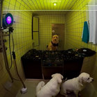 RONIE & CENTRAL DO BRASIL | MAD ABOUT RECORDS