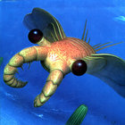 matrixshrimp thumbnail
