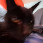 hanna_squared thumbnail