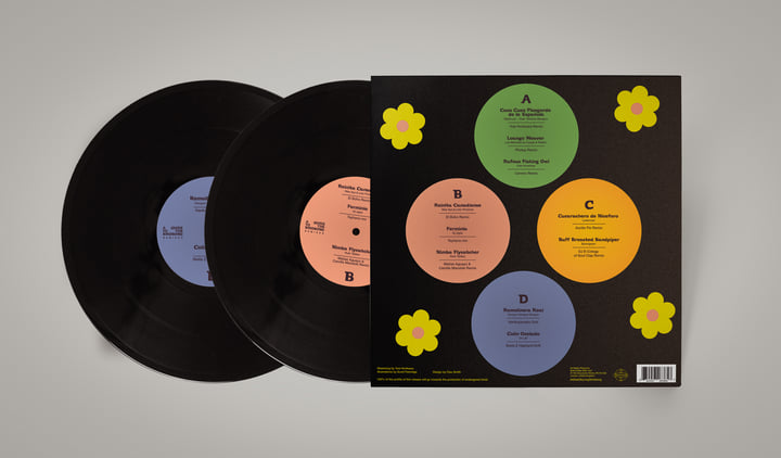 A Guide To The Birdsong Remixed | Shika Shika