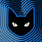 recursivepaws thumbnail