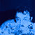 Connor Ferguson thumbnail