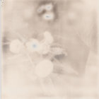 foppington thumbnail