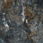Modvek thumbnail