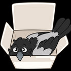 Tadhg thumbnail