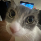 xian_bel thumbnail