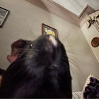 Hobson’s Choice thumbnail