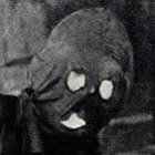 owlson thumbnail