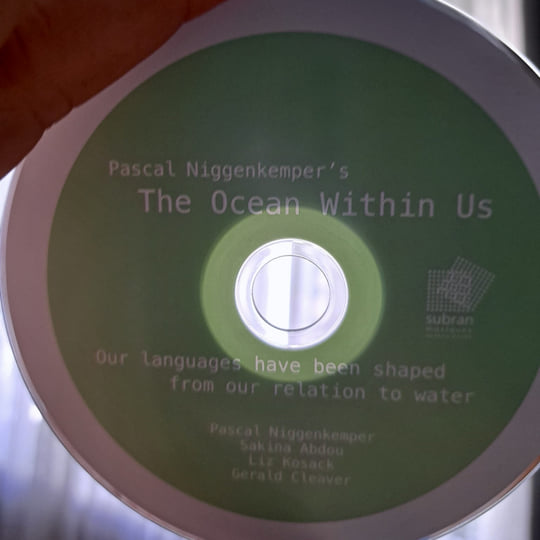 the ocean within us | Pascal Niggenkemper, Sakina Adbou, Liz