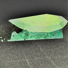 lizzat thumbnail