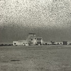 AntiLocustResearchCenter thumbnail