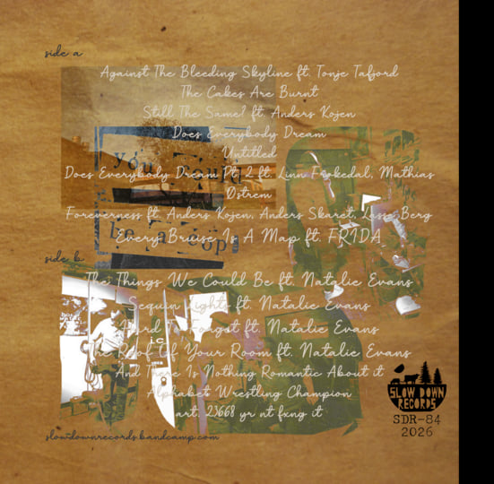 you could be a cop - diskografi 2004-2026 [SDR-84] | Slow Down Records