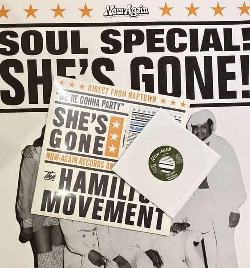 She's Gone - The Complete Works | The Hamilton Movement | Now