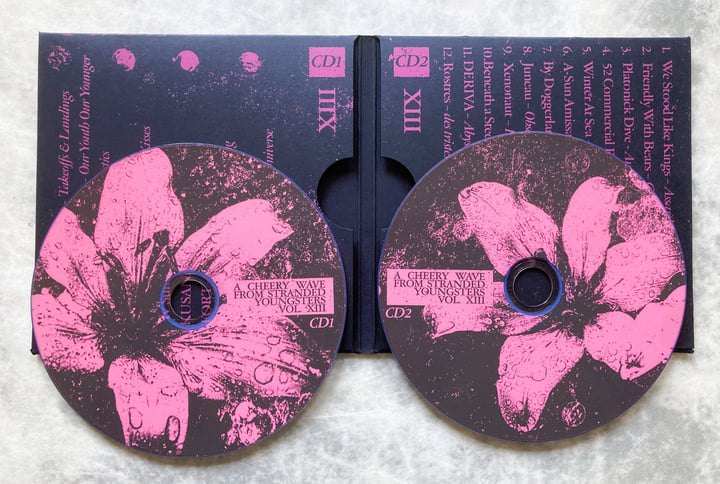 A Cheery Wave From Stranded Youngsters: Vol. XIII | Various | A