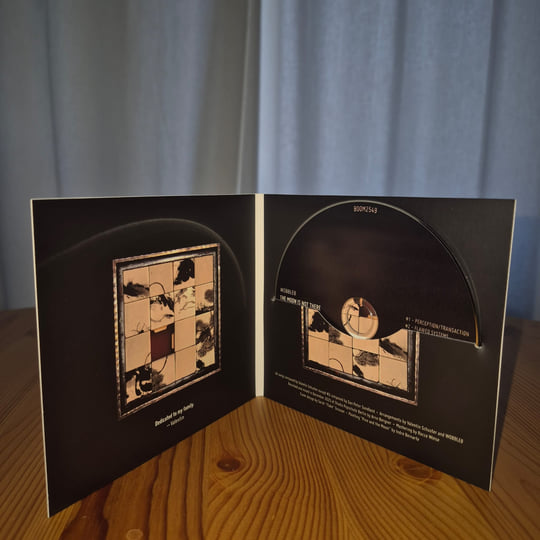 The Moon is not there when nobody looks | WOBBLE8 | Boomslang Records