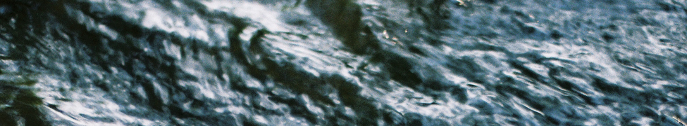 JEWELSSEA — Photo