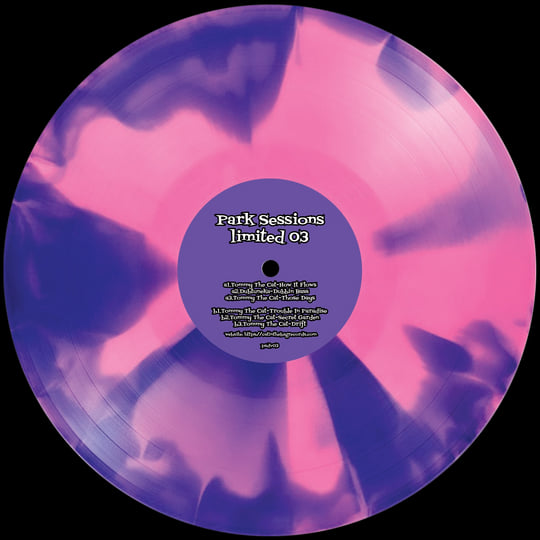 Park Sessions Limited 03, Sunset Vibes Ep 02 | Tommy The Cat | Cat