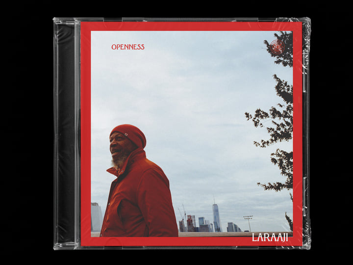 Openness | Laraaji | DIVISION 81 RECORDS