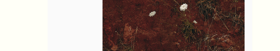 Andrew Tuttle — Photo