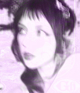 Scaredy Cat — Photo