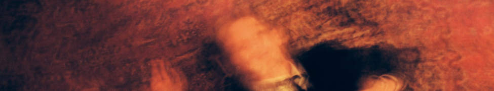 Spike Fuck — Photo