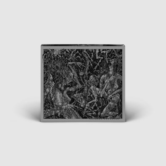 Bestial Lustmord | RAHATY | Sentient Ruin Laboratories