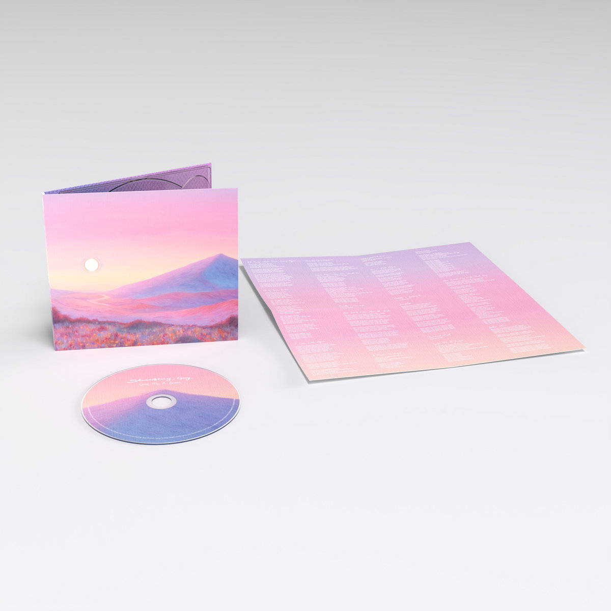 Give Me A Dream (Album Pre-Order) | Strawberry Guy