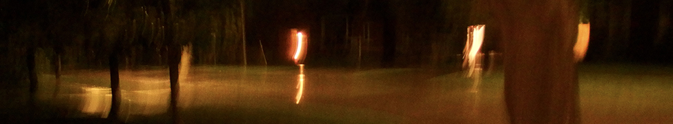 The Forever Moment — Photo